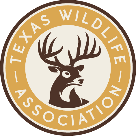 Texas Big Game Awards Celebration - September 19 Lubbock - logo